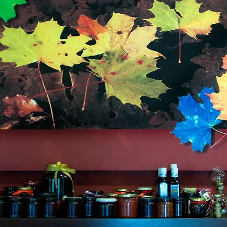 Nessos Hotel Paranesti